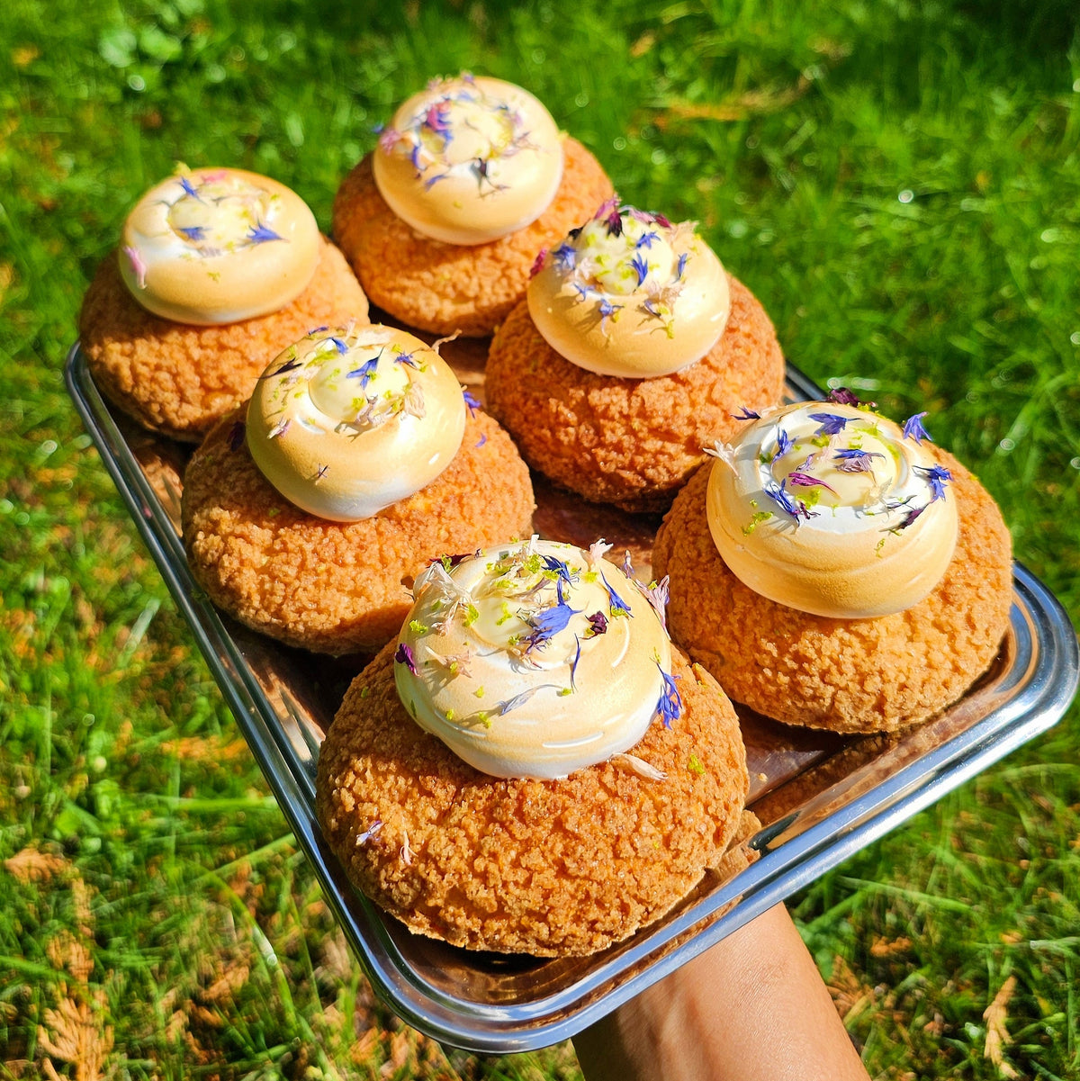 Yuzu Meringue Choux